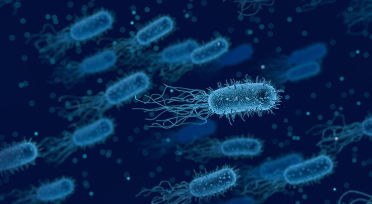 南極細(xì)菌靠空氣生存，并以氫為燃料制造水