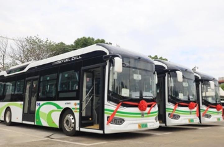 5輛氫燃料公交車(chē)投運(yùn)，上海金山公交行業(yè)跨入“氫”時(shí)代
